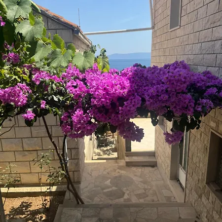 Suzana Including Private Pool Kwatera prywatna *